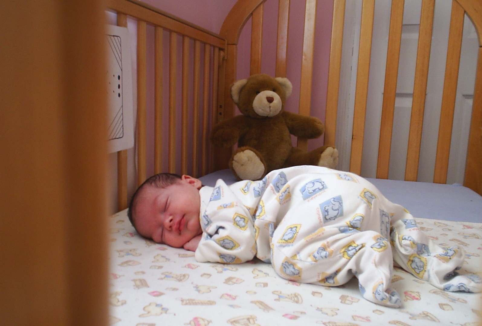 Now time for a nap.