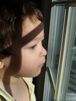 Looking for wild life...